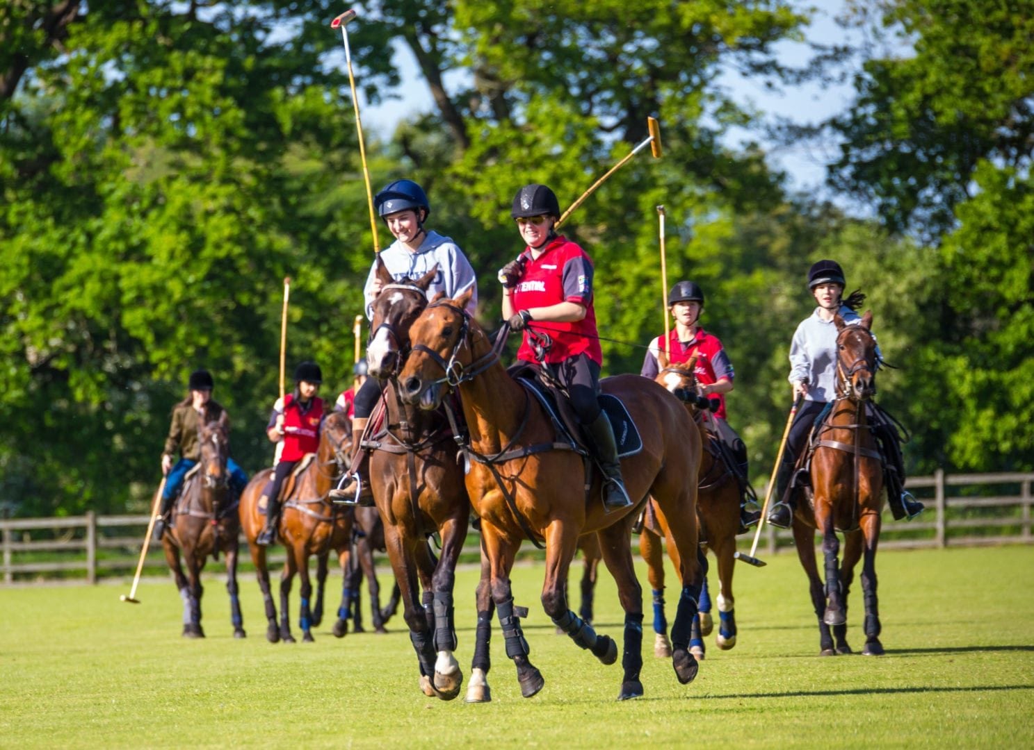 Polo__7_