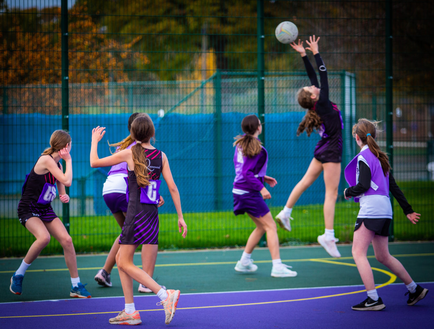 Netball Courts - Queenswood
